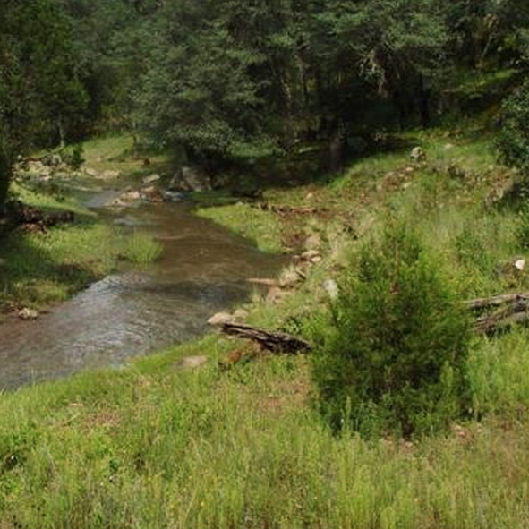 Reserva de la Biosfera La Michilia 